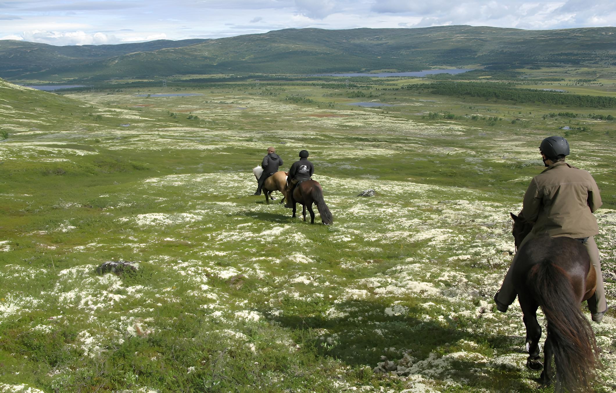 Dalseter Fjellhotell view 4