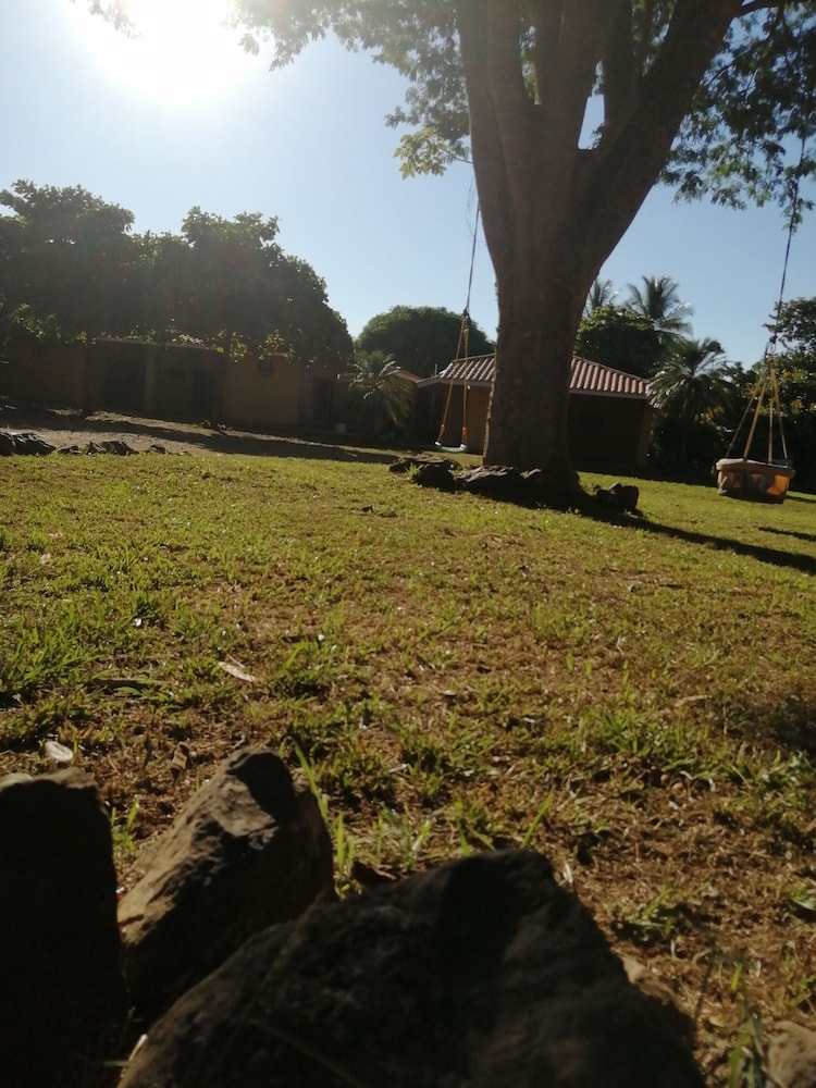 Photo 41