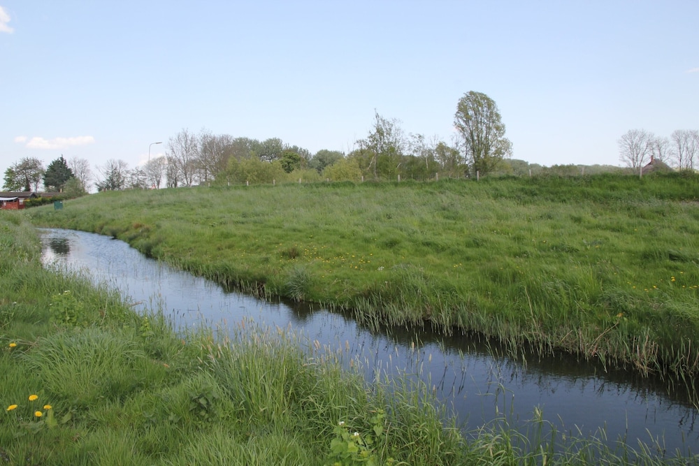 Rustic Bungalow in North Holland near Forest view 3