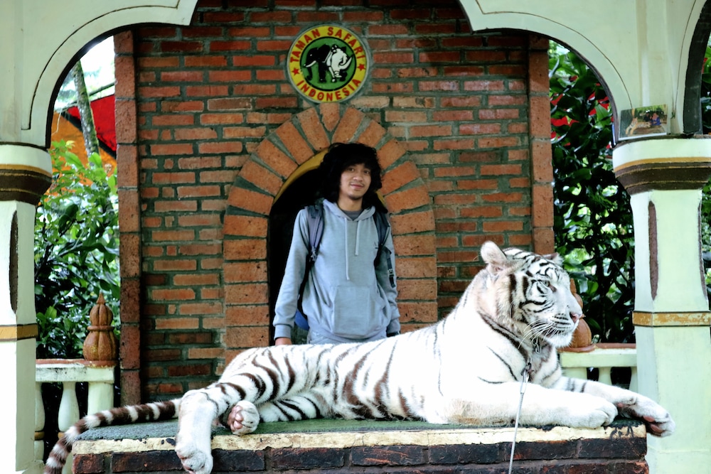 Homestay Sembiring Puncak view 5
