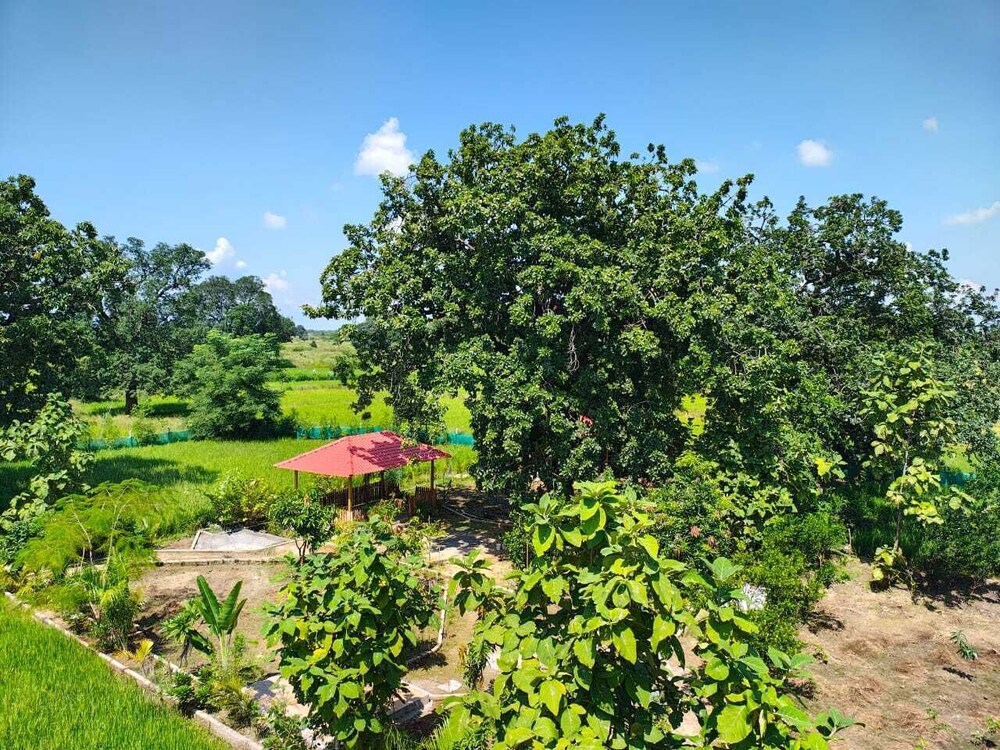 Shivansh Agro Tourism And Home stay