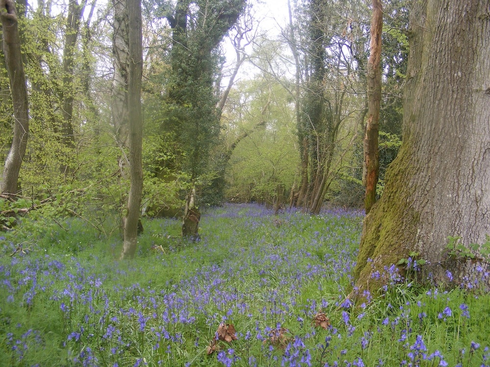 Marshwood Farm B&B