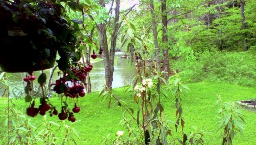 Linville River Log Cabins