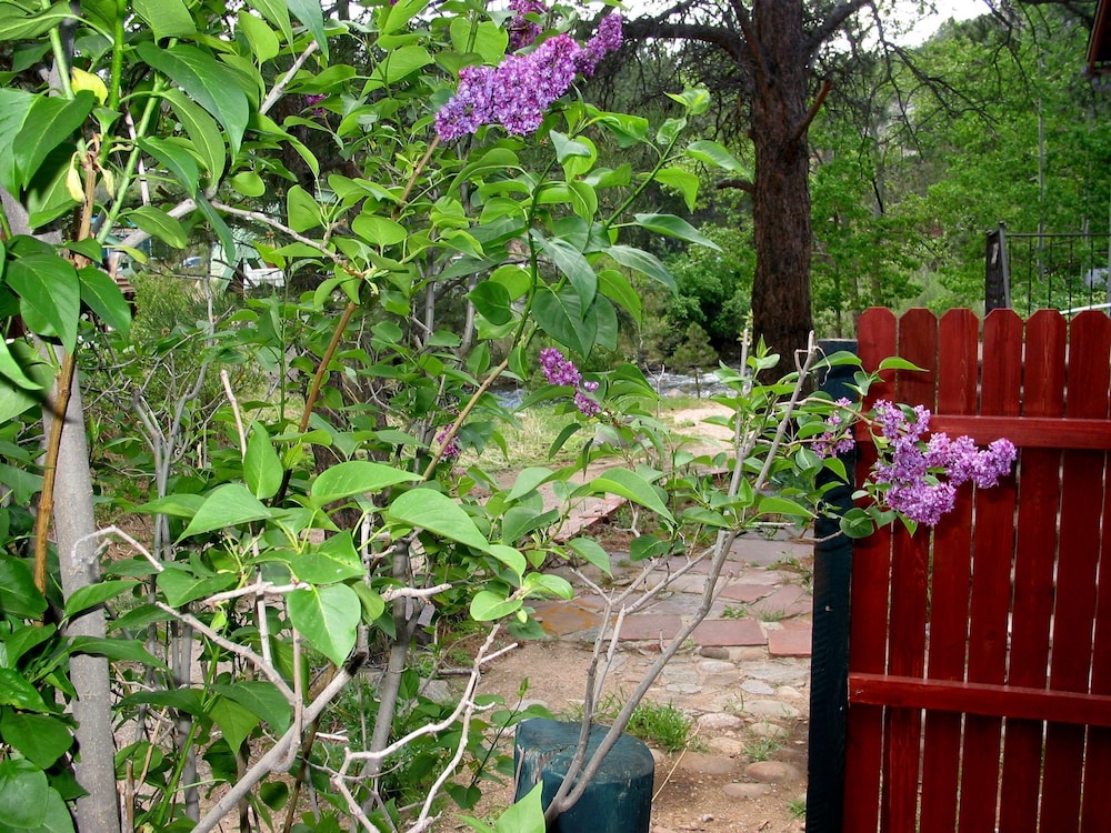 Wendy's Canyon Cottages