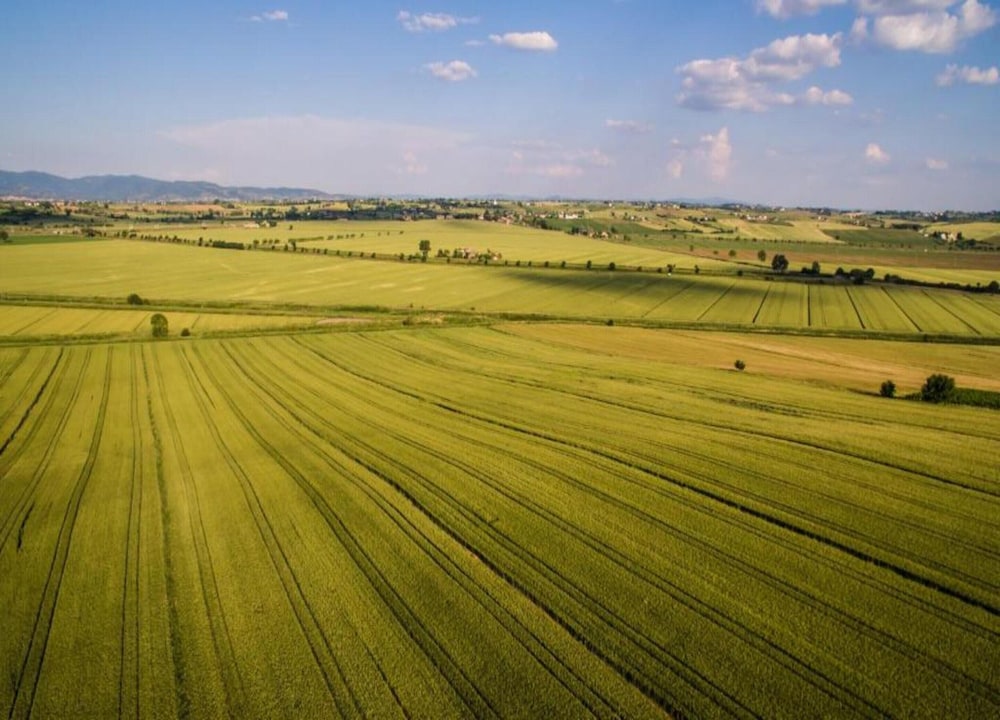 Villa in Tuscany With Pool Near Cortona