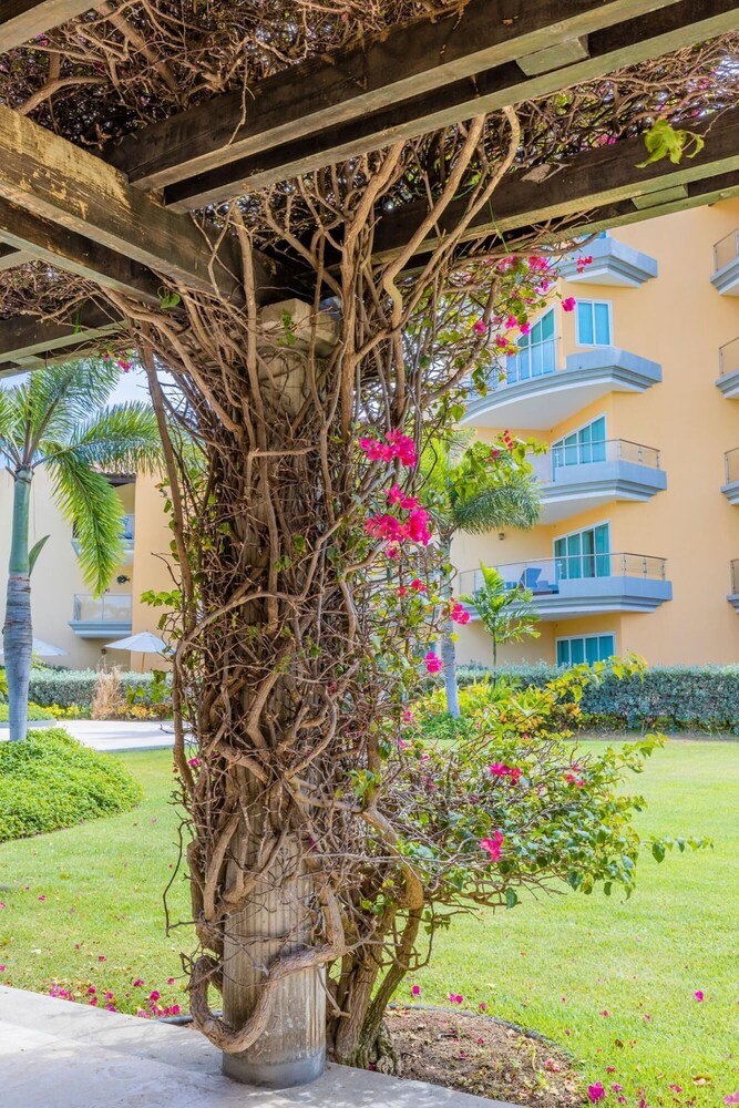 2BR 3BA Condo on Eagle Beach w Amazing Amenities