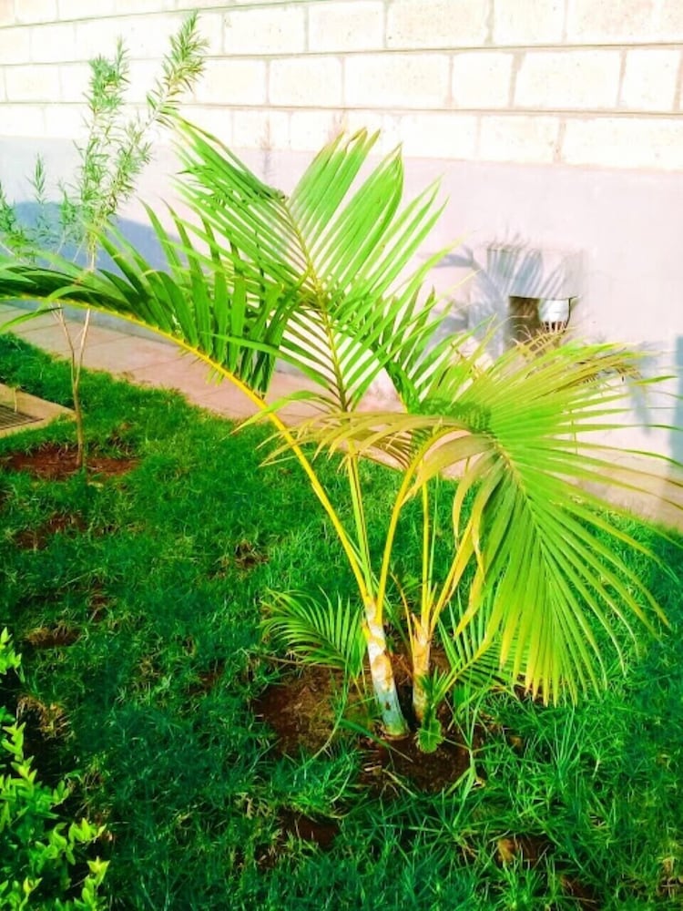 JKIA Airport side apartment view 2