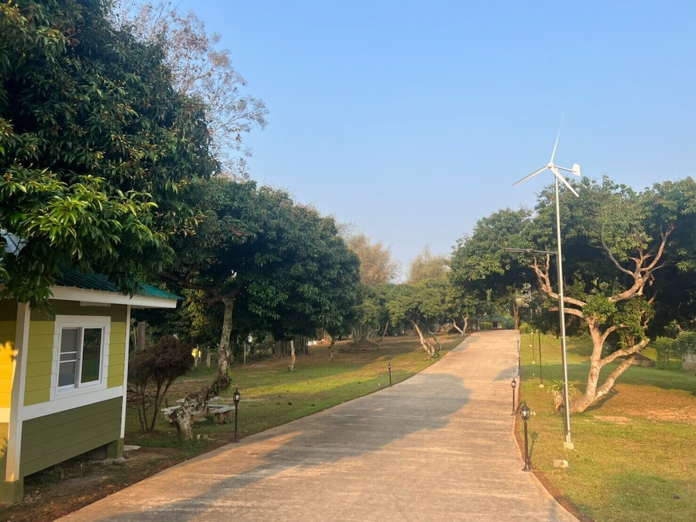 Photo 19