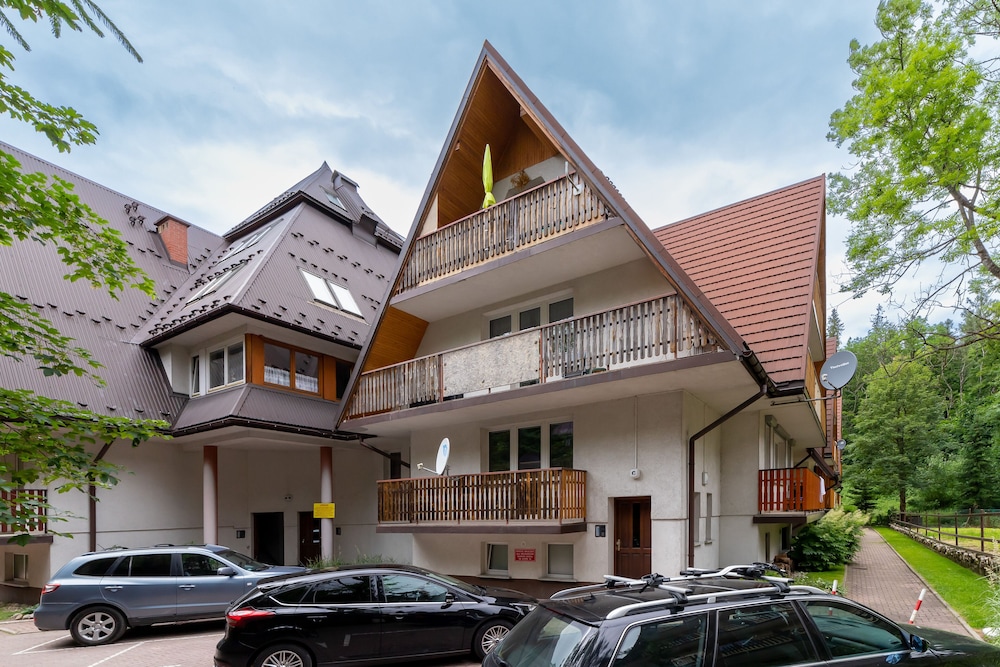 Droga na Bystre Zakopane by Renters view 5
