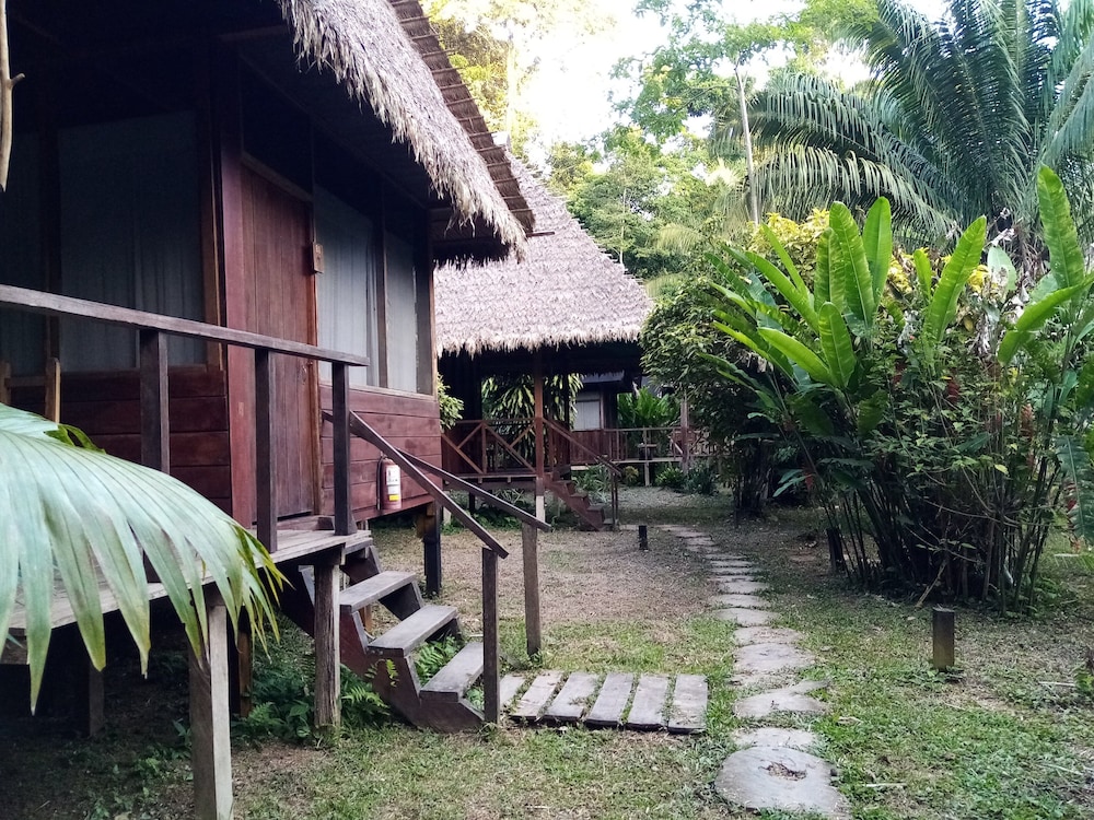 Photo 62