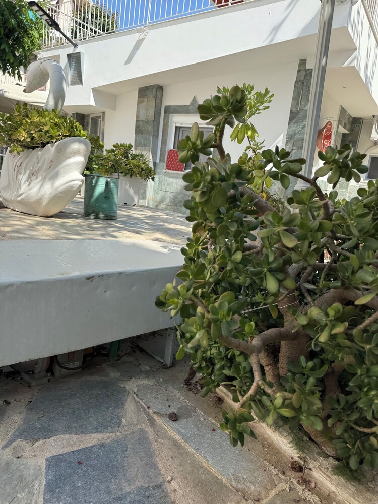 GARDEN APARTMENT (ELECTRIC CAR CHARGING STATION)