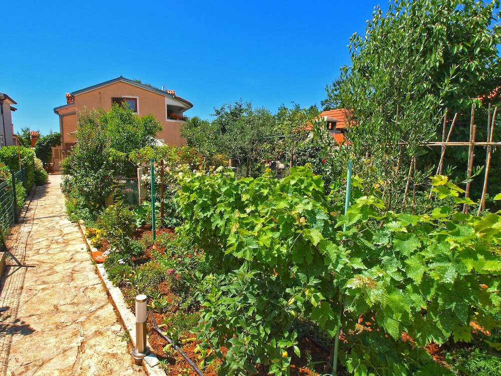 Apartments Mara 44