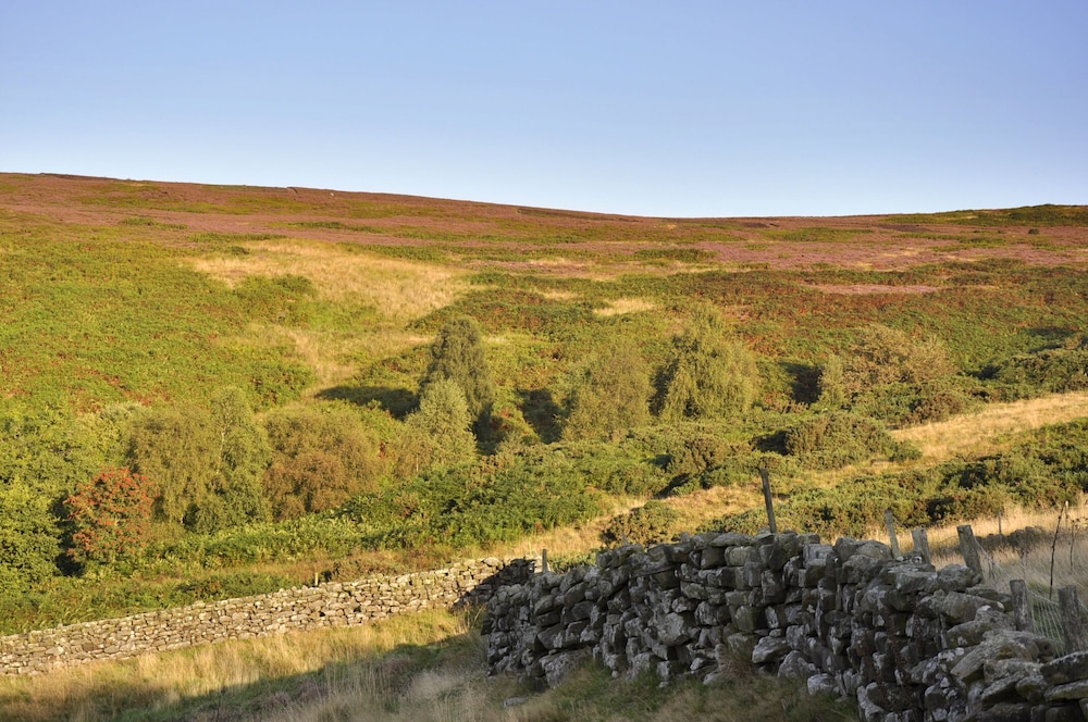 Sheep Cote Shepherds Hut