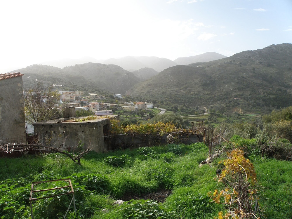 Photo 41