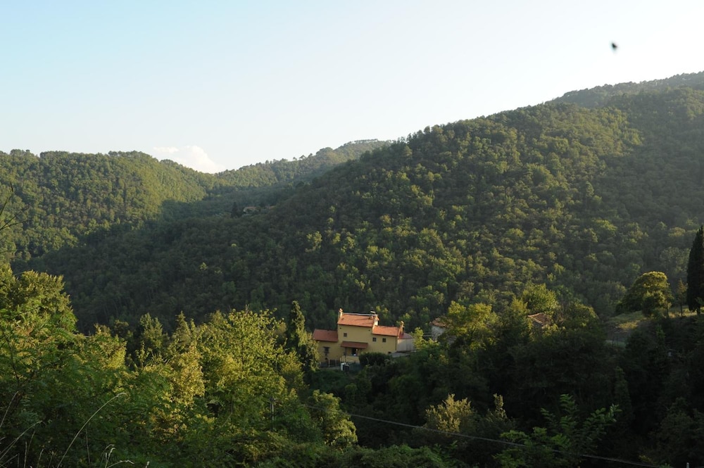 Photo 41
