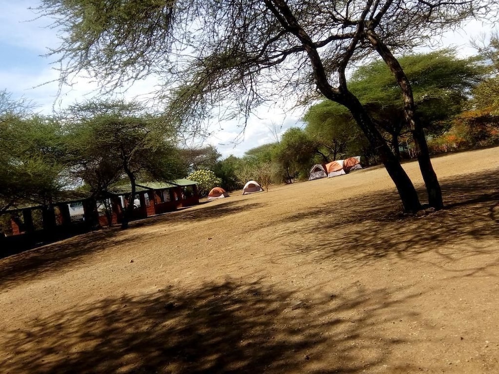 Snake Park Campsite view 2