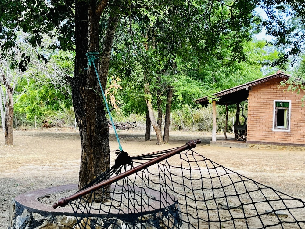 Funky Leopard Safari Lodge Bordering Yala National Park - Hostel