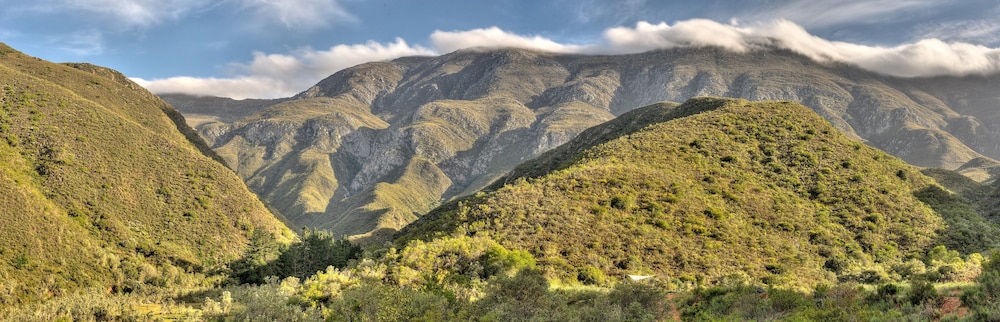 AfriCamps at Pat Busch Mountain Reserve