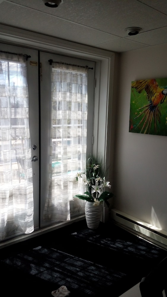 Studio Bellevue