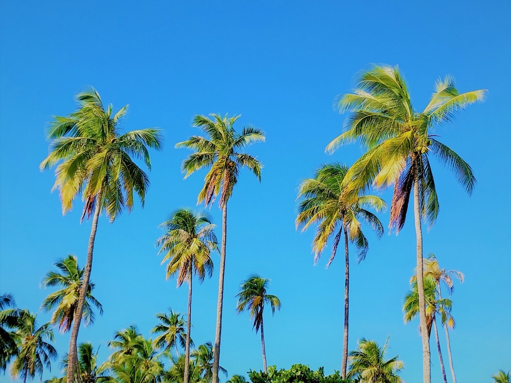 Moorea - Toatea Beach Hoe