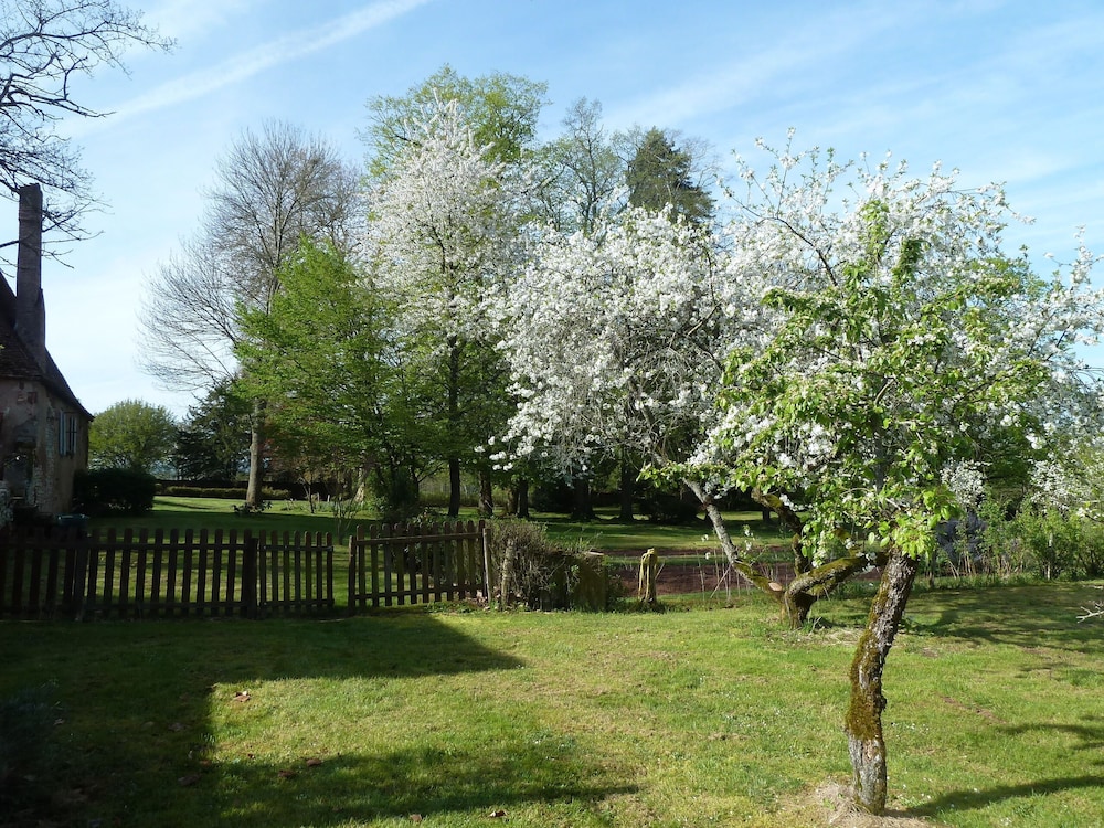 Photo 13