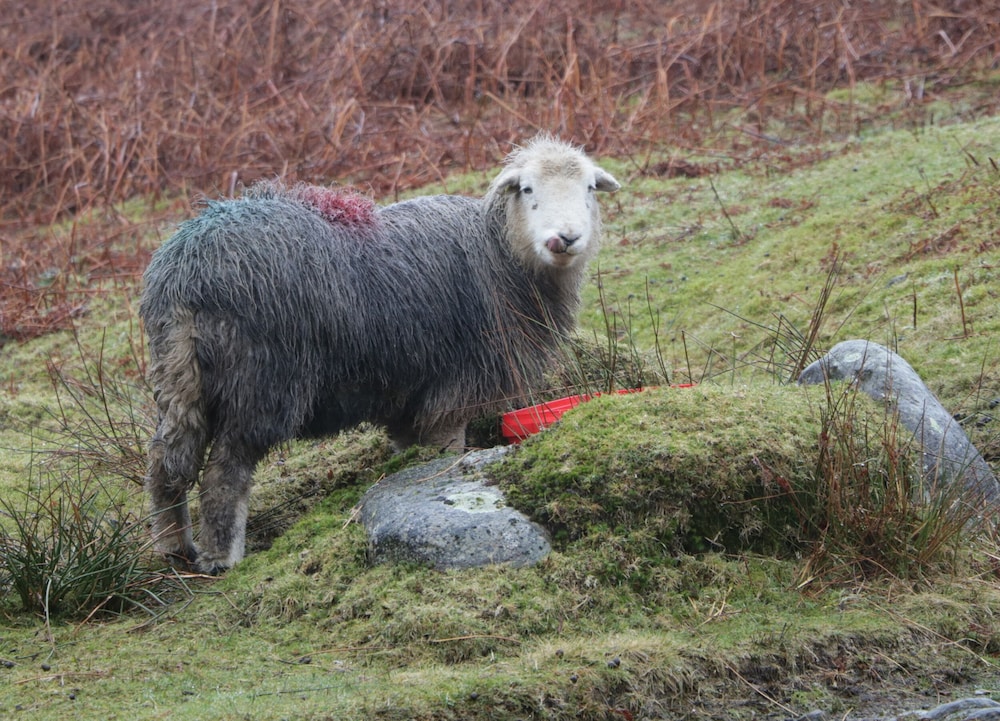Beckside Farm