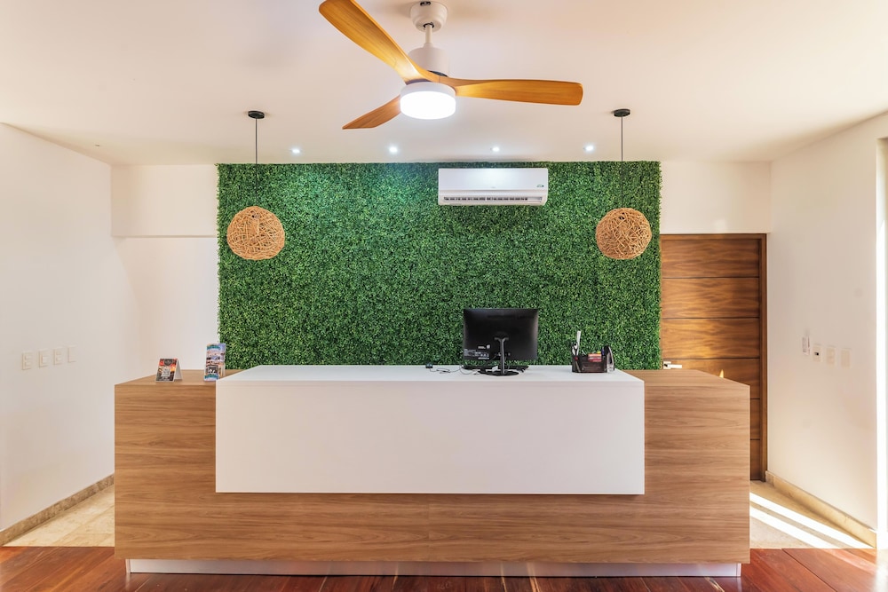 recepcion & lobby