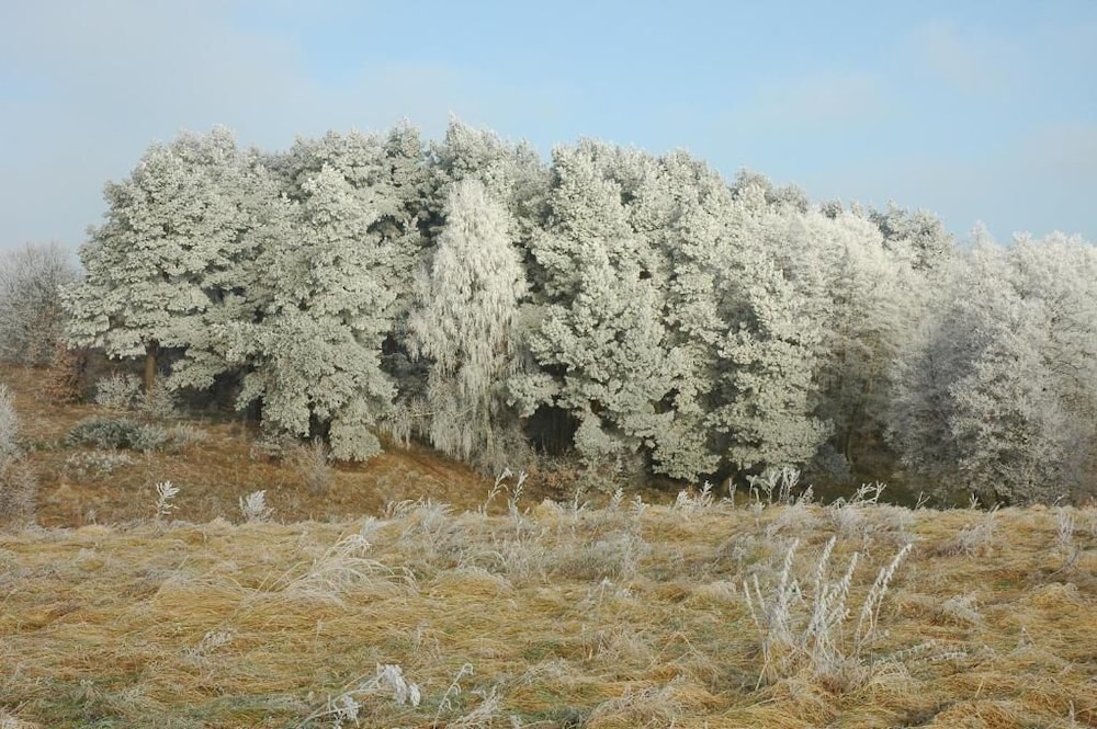 Agroturystyka u przyjaciol Soni