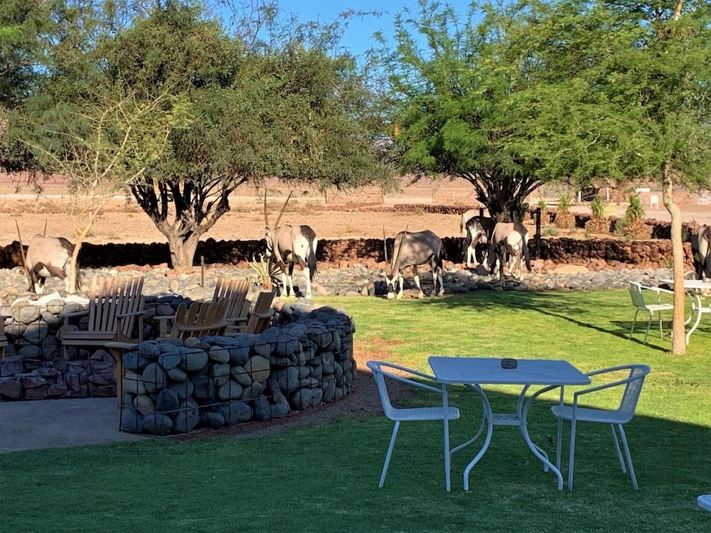 Elegant Desert Lodge