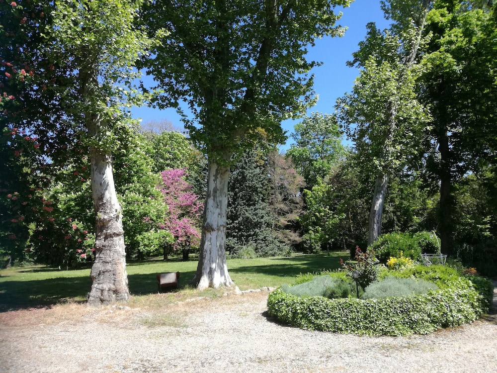 Mon Petit Soulié