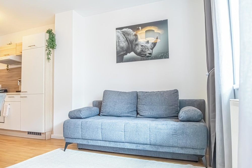 Comfortable 1BR 1LR City Center Apt