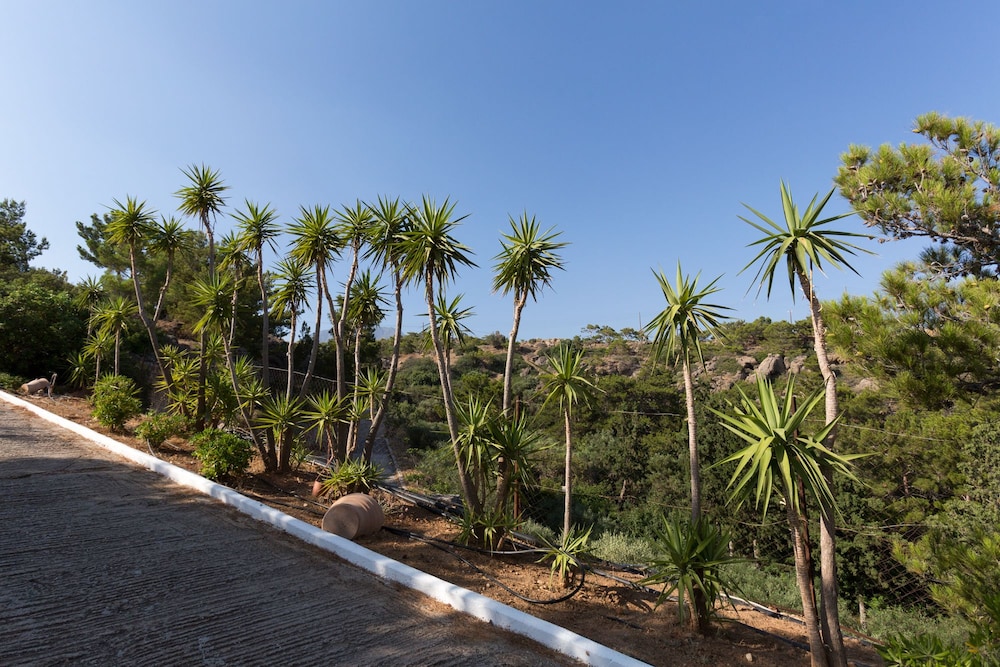 Ferma Hill Apartments photo 5