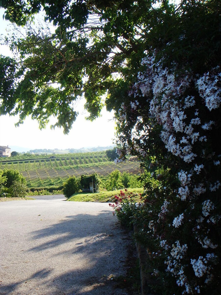 Photo 38