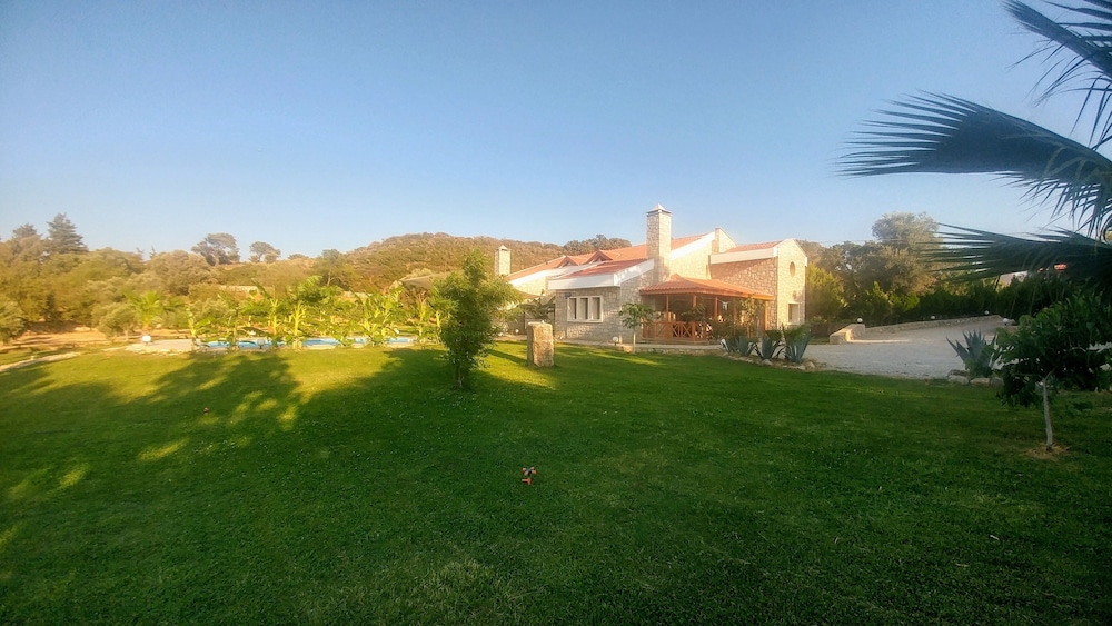 Photo 20
