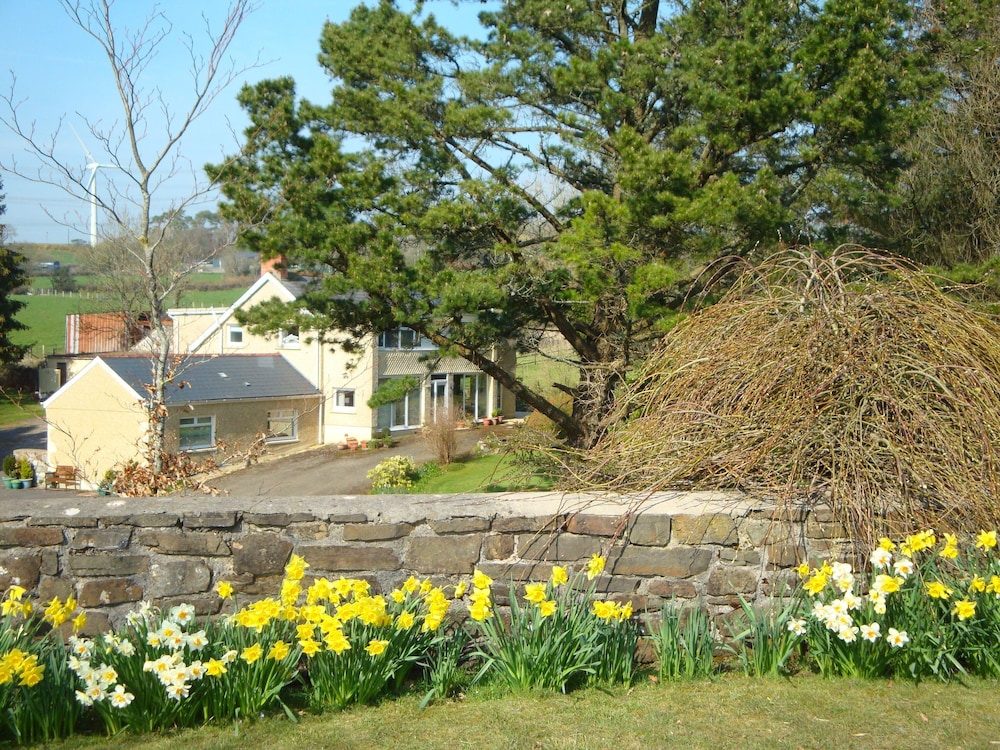 Photo 13