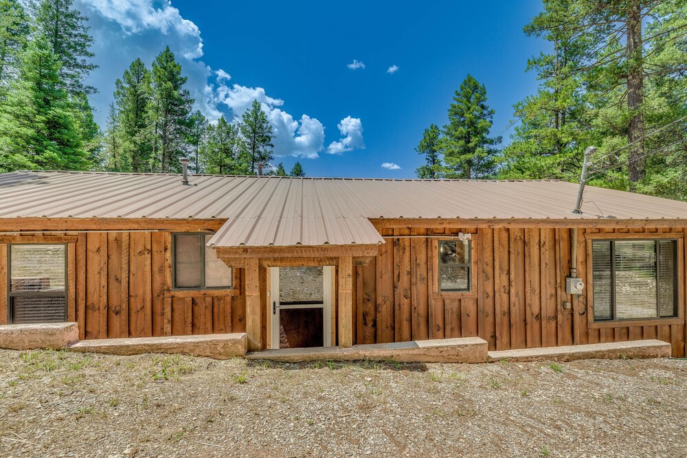 Cloudcroft Mountain Retreat  5 Mi to Skiing! - Property Image 3