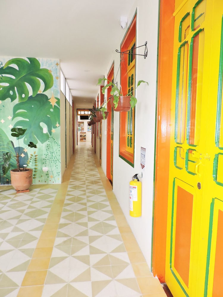 Golden Frog Mountain Hostel