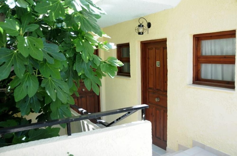 Senia Studios