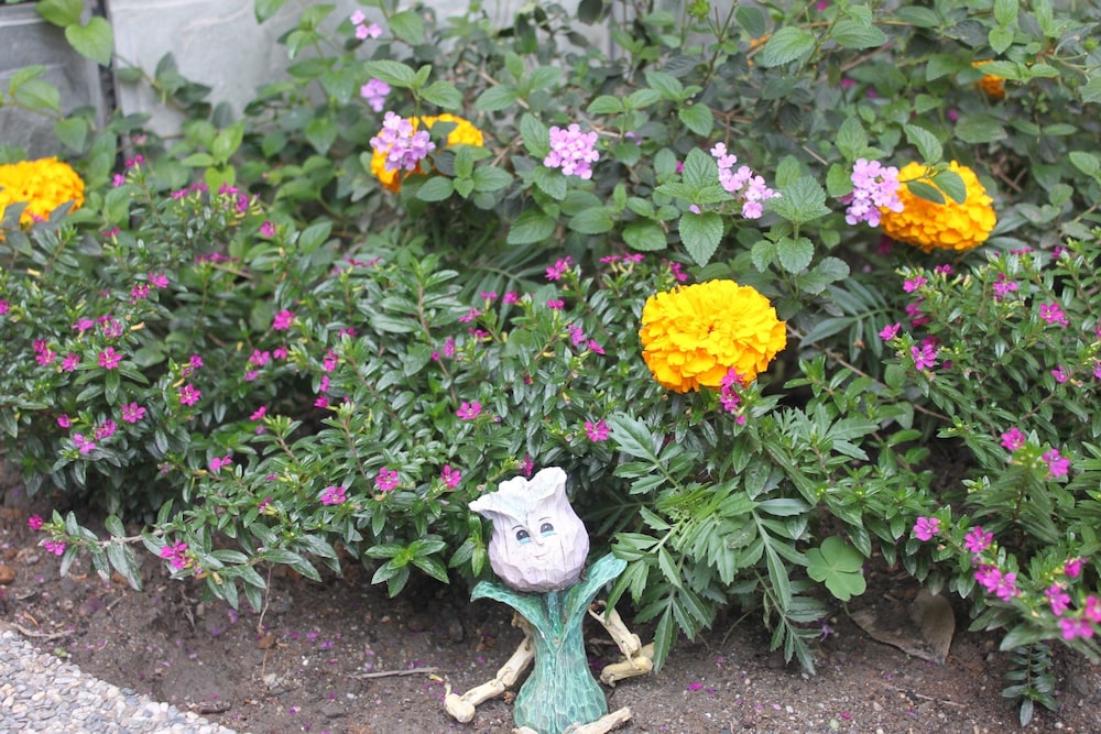 Hualien Tour B&B