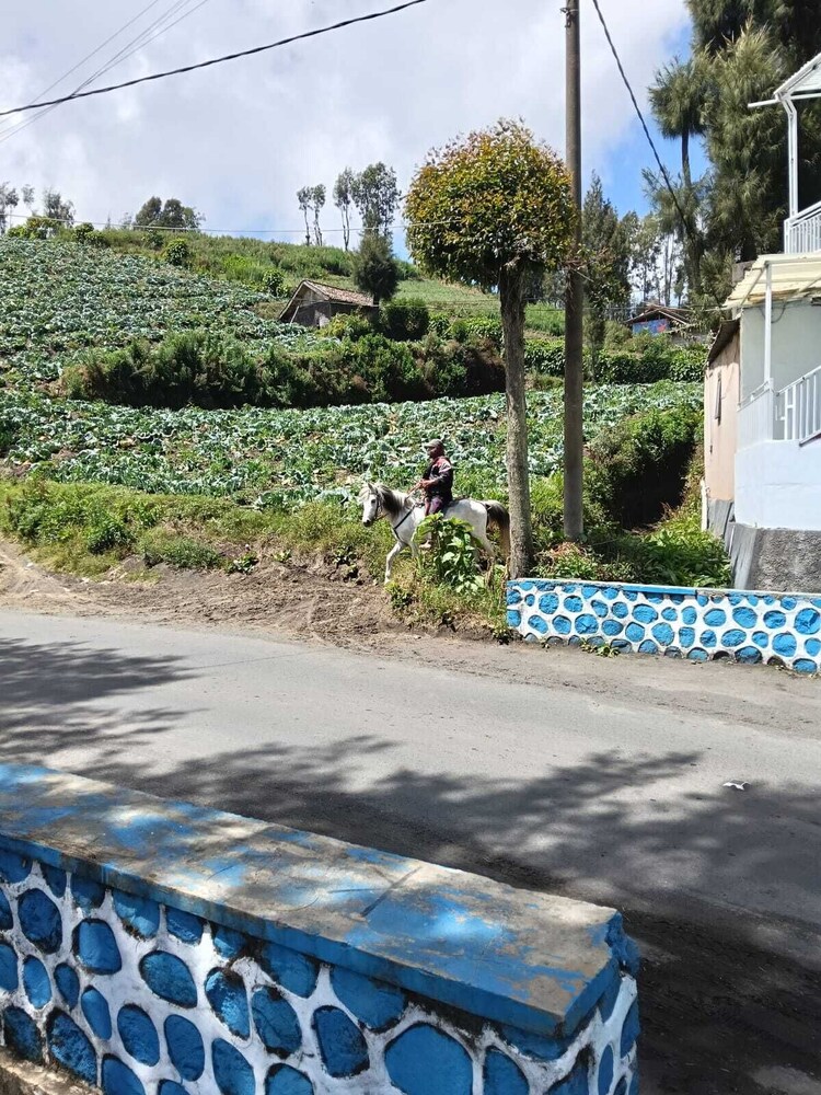 Den Bagus Bromo