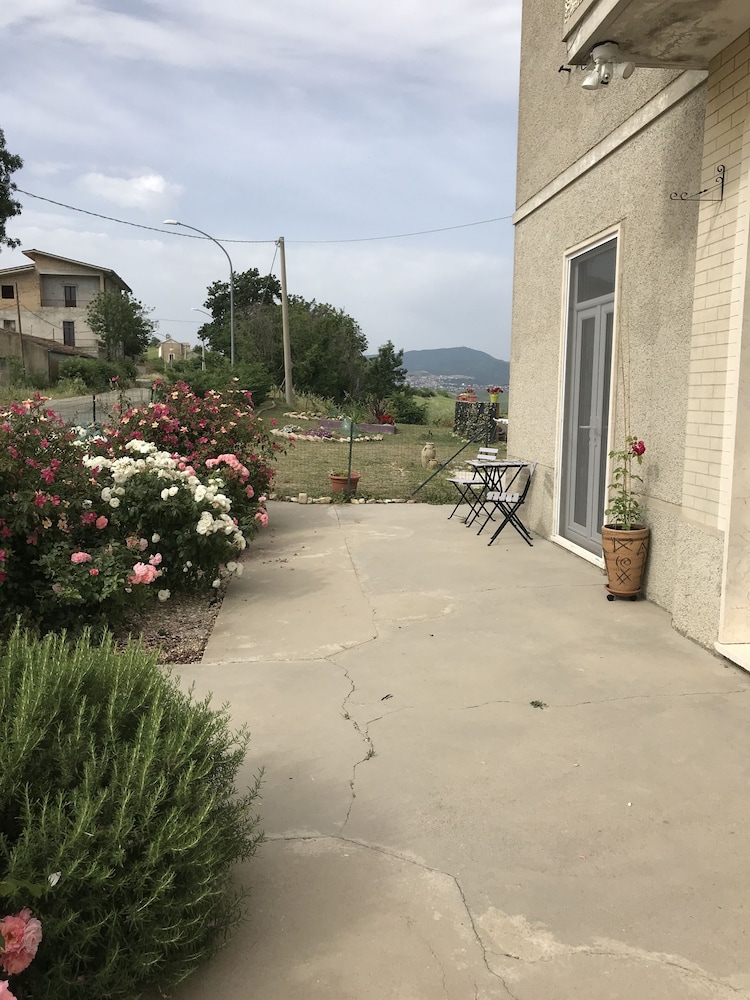 Photo 41