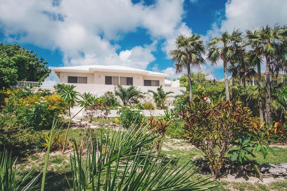 Flipper'S Haven: Tropical Retreat