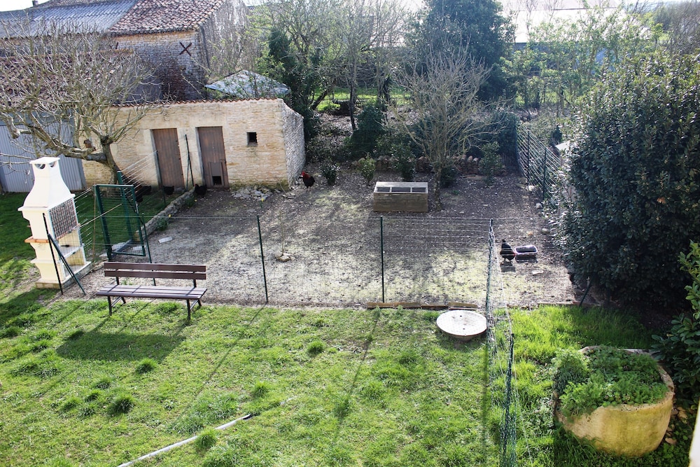 Flore des Marais