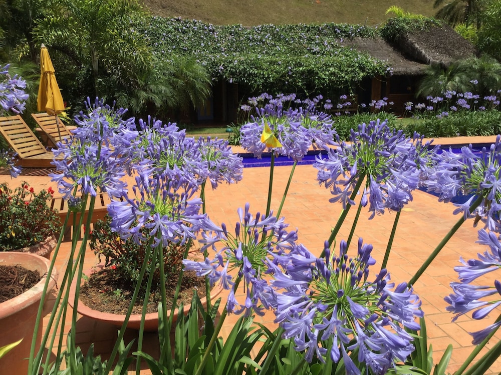 Reserva Ecolodge Eldorado