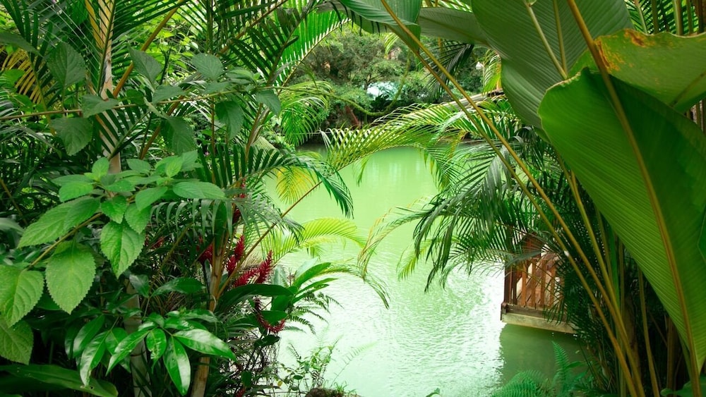 Cabañas del Lago