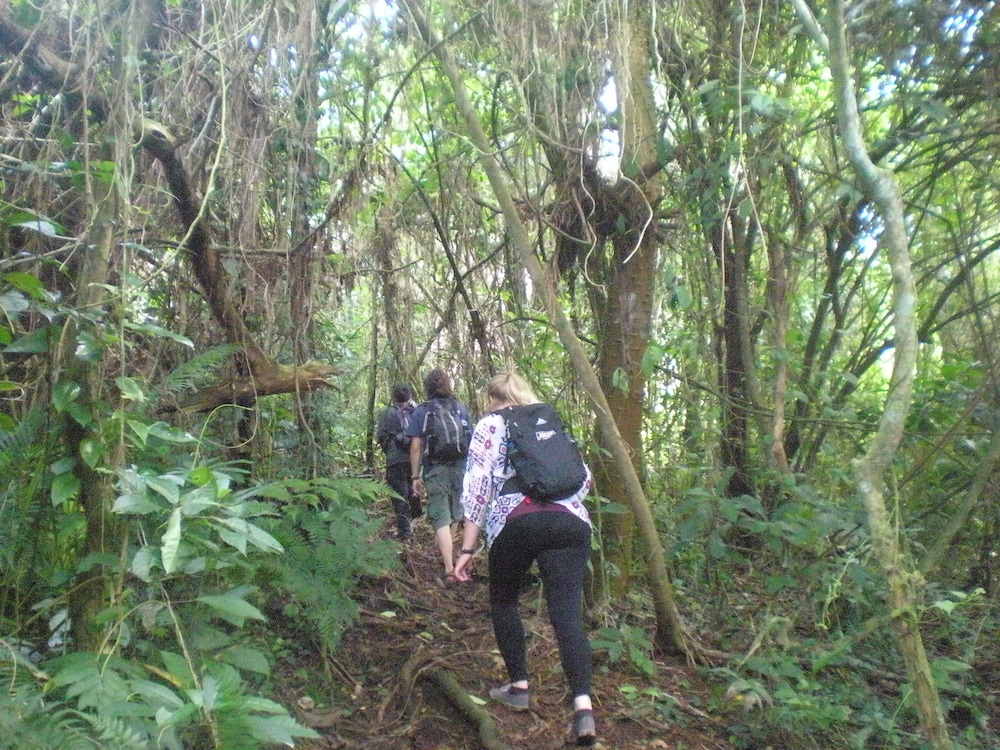Tepi Sawah Lodge