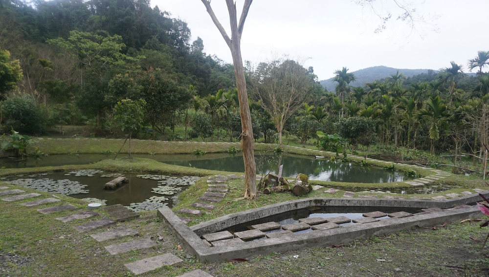 Photo 40