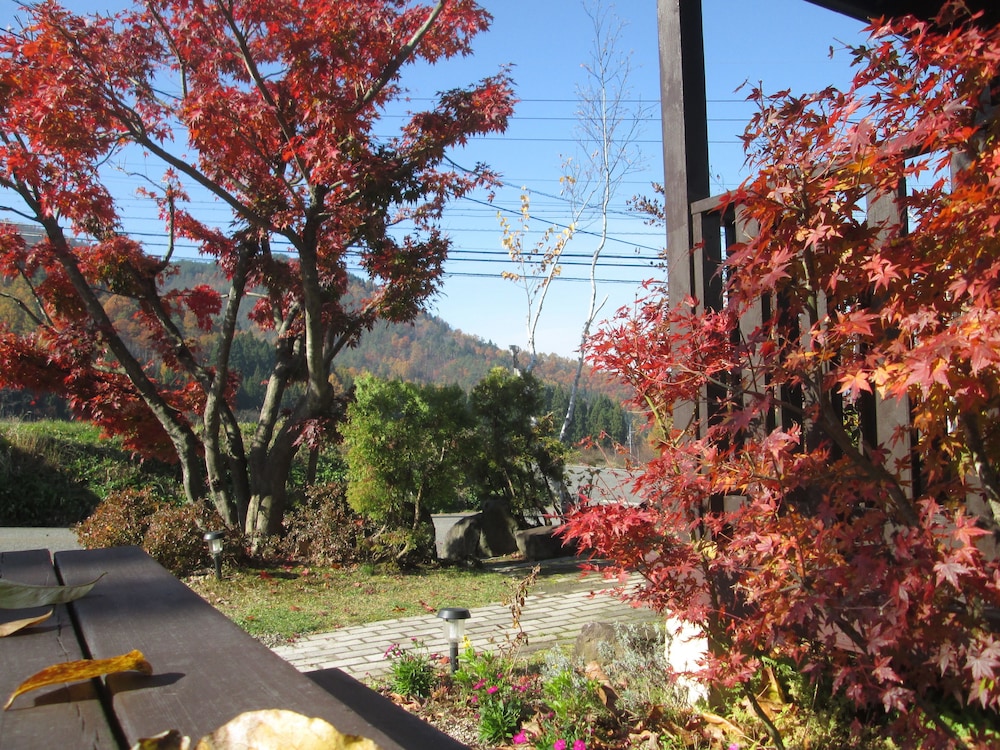 Photo 46