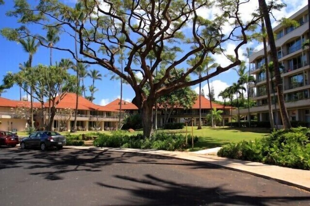 Maui Kaanapali S #b242 Studio Bedroom Condo by RedAwning - Image 1