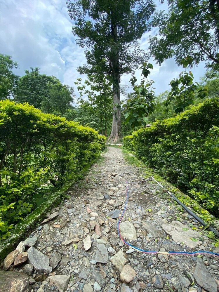 The Harikanta Corbett Resort